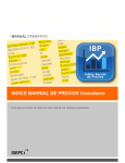 Indice Barrial de Precios - Manual Operativo