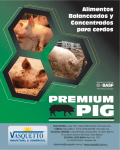 concentrados para cerdos premium pig