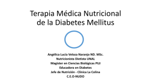 Terapia Médica Nutricional de la Diabetes Mellitus