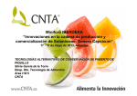 CNTA - Concytec