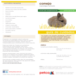 conejo - Productos para mascotas