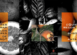 Folleto de Variedades Agrícolas Tradicionales