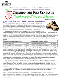 Qué es un Alimento Denso o Rico - K