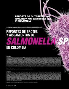 Salmonella spp.