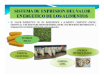 VALORACION ENERGETICA 2012-I [Modo de