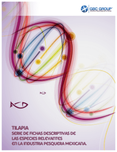 Ficha_Tilapia vFinal - Global Biotech Consulting Group