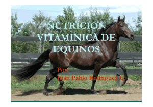 nutricion vitaminica de equinos