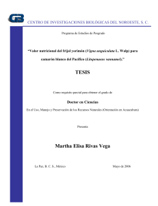 TESIS Martha Elisa Rivas Vega