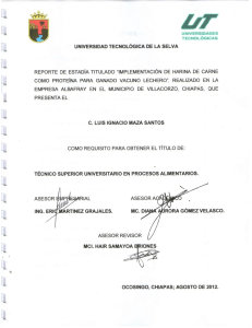 tesis, reportes, memorias, etc. - Universidad Tecnol&oacute;gica de la Selva