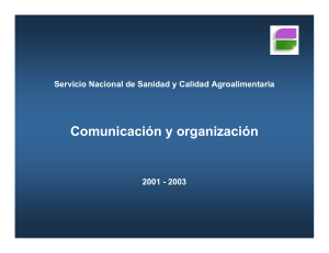 Comunicación y organización