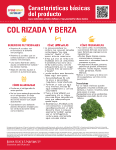 COL RIZADA Y BERZA