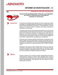 informe de investigación - 45