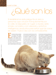 Nutrición - Royal Canin