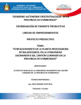 proyectofp11 - gobierno provincial de chimborazo