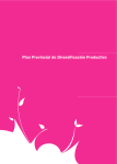 Plan Provincial de Diversificación Productiva - Inicio