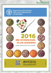 Descárgate el pdf 2016 Año Internacional de las Legumbres