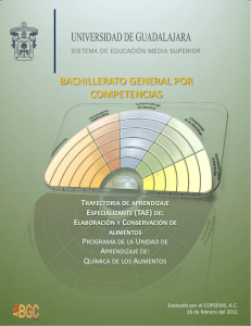 BACHILLERATO GENERAL POR COMPETENCIAS