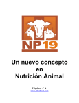 Un nuevo concepto en Nutrición Animal