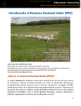 Introducción al Pastoreo Racional Voisin (PRV)