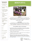 BERENJENA