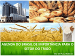 agenda do brasil de importância para o setor do trigo