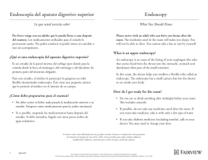 Endoscopy Endoscopía del aparato digestivo superior
