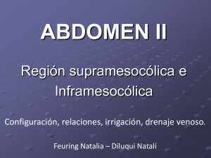 abdomen ii. 2012 - Anatomia en Obstetricia