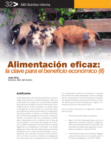 Alimentación eficaz: