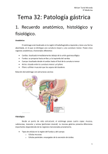 Tema 32 fisiopatología gástrica