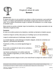 Colon Cancer Surgery (Spanish)