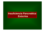 Insuficiencia Pancreática Exócrina