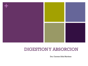 DIGESTION Y ABSORCION