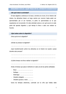 SEGUNDO CICLO: ¿QUÉ PASA EN EL APARATO DIGESTIVO?