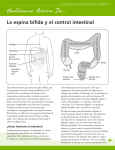 La espina bífida y el control intestinal