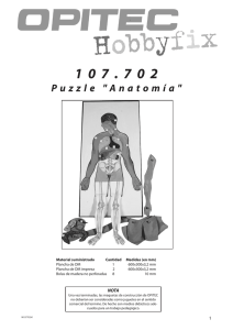 Puzzle "Anatomía"