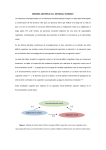 0.1 0.3 Funcionamiento social Cognición no