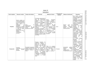 95 Anexo 12 Indicadores
