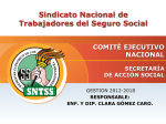 Sindicato Nacional de Trabajadores del Seguro Social