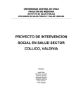 proyecto de intervencion social en salud sector collico, valdivia
