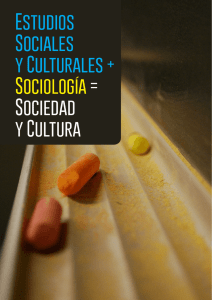 Estudios Sociales y Culturales + Sociología = Sociedad y Cultura
