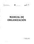 manual de organizacion