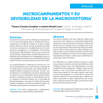 Microcampamentos y su invisibilidad en la macrohistoria.