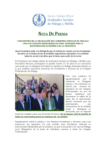 nota-web delegada del gobierno andaluz y colegios profesionales
