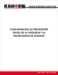 PLAN MUNICIPAL DE PREVENCIÓN SOCIAL DE LA VIOLENCIA Y