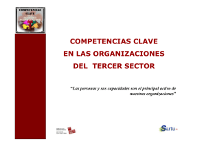 competencias clave en las organizaciones del tercer sector