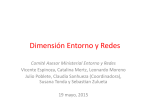 Dimensión Entorno y Redes, Comité Asesor Ministerial