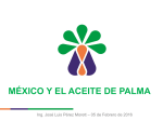 MÉXICO Y EL ACEITE DE PALMA