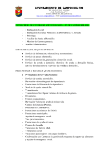 estructura de centro de servicios sociales de campos del río