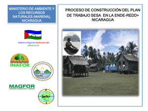 Diapositiva 1 - REDD/CCAD-GIZ