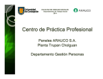 Presentación Centro de Practica arauco.pptx